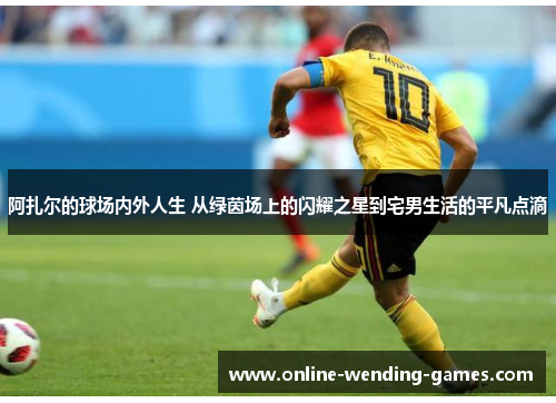 阿扎尔的球场内外人生 从绿茵场上的闪耀之星到宅男生活的平凡点滴