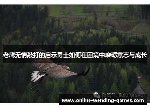老鹰无情敲打的启示勇士如何在困境中磨砺意志与成长 老鹰无情敲打的启示勇士如何在困境中磨砺意志与成长