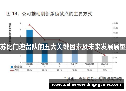 苏比门迪留队的五大关键因素及未来发展展望 苏比门迪留队的五大关键因素及未来发展展望