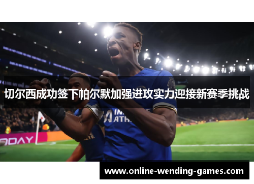 切尔西成功签下帕尔默加强进攻实力迎接新赛季挑战